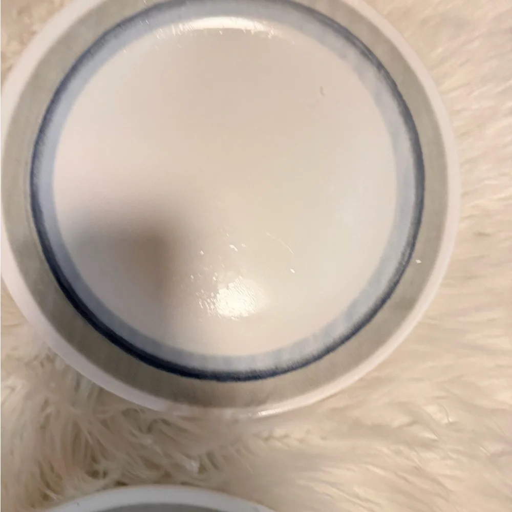 Correlle Blue Rim Stoneware Dinner Bowls - Set of 2